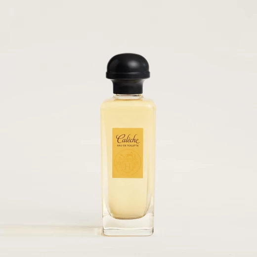 هيرمس كالش او دي تواليت 100 مل عطر كلاسيكي للنساء عطر زهري فاخر هيرمس كالش او دي تواليت 100 مل عطر كلاسيكي للنساء عطر زهري فاخر