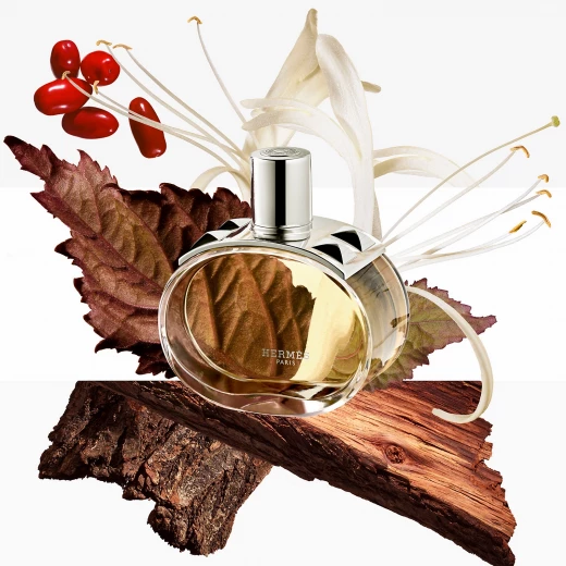 عطر هيرميس بارينيا أو دو بارفان 60 مل للنساء عطر تشيبر حسي يدوم طويلا - هيرميس - Image 2