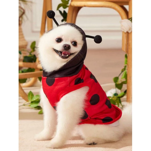 Pets Cute Ladybug Dog Costume XL Back L 40cm , B 52cm - Pets - Image 4