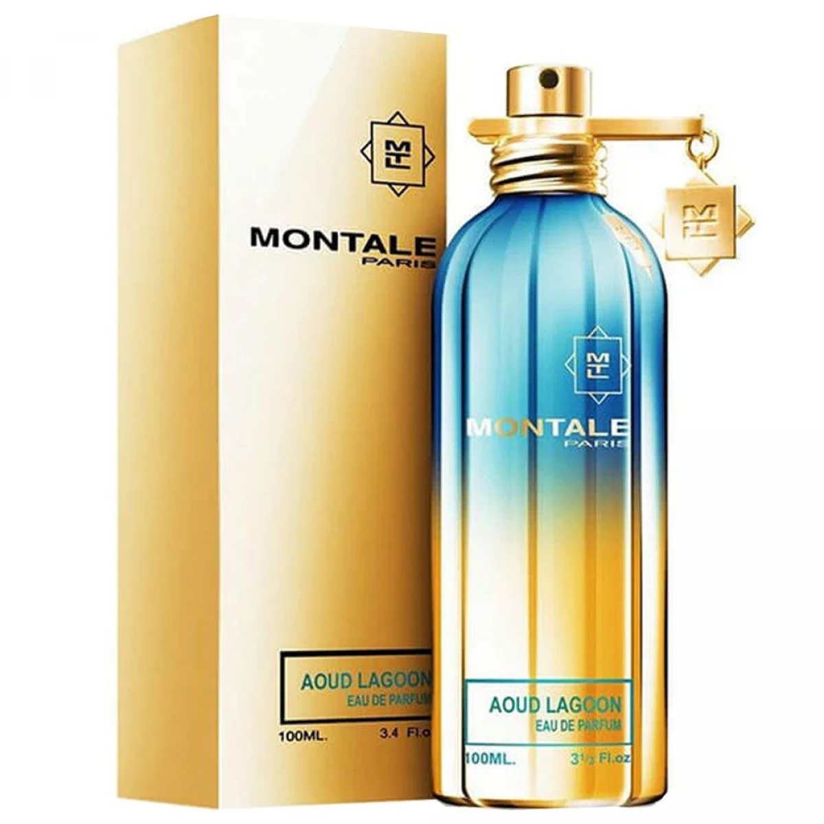 Montale Aoud Lagoon Eau de Parfum 100ml Unisex Fragrance