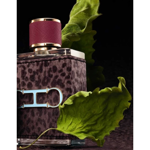 عطر كارولينا هيريرا سي اتش مين وايلد لوف 100 مل للرجال عطر رجالي جذاب - كارولينا هيريرا - Image 3