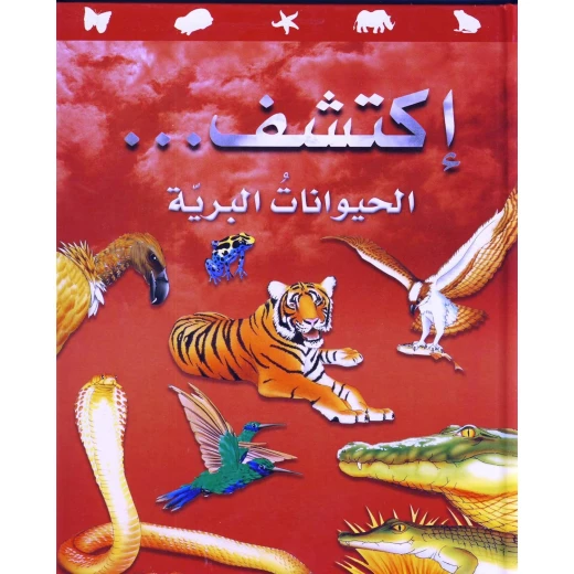 سلسلة اكتشف: كتاب الحيوانات البرية للأطفال من عمر 8 إلى 12 سنة – استكشف حقائق مذهلة عن الحياة البرية برسوم ملونة ومحتوى تعليمي ممتع باللغة العربية سلسلة اكتشف: كتاب الحيوانات البرية للأطفال من عمر 8 إلى 12 سنة – استكشف حقائق مذهلة عن الحياة البرية برسوم ملونة ومحتوى تعليمي ممتع باللغة العربية