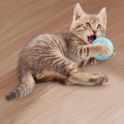 Pets Pets Smart Ball Cat Toy - Colorful Lighting Interactive Toys for Cats - Intelligent Rolling Silicone Kitten Toys, Fast Rolling Carpet - Pets - Image 3