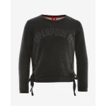 Liverpool FC Kids Long Sleeve Crew Sweatshirt Grey 3-4 Years Sports Apparel - Liverpool FC