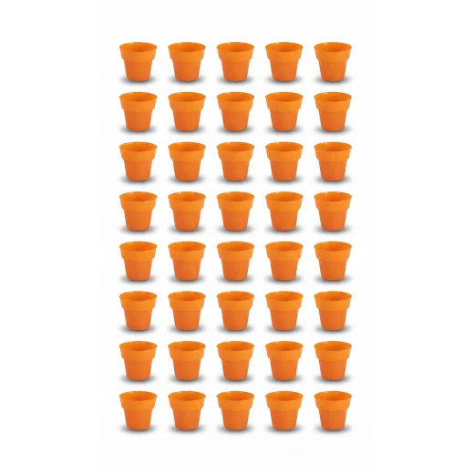RZ Crystal Orange Plastic Cups 7 oz, Stylish Party & Gathering Cups 25 + 25 pcs Offer RZ Crystal Orange Plastic Cups 7 oz, Stylish Party & Gathering Cups 25 + 25 pcs Offer