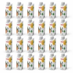 Hammoudeh Mango Nectar Juice 250ml Prisma Pack of 24, Delicious and Refreshing Fruit Drink with Natural Mango Flavor, Perfect for Any Occasion, Convenient Multipack - Hammoudeh
