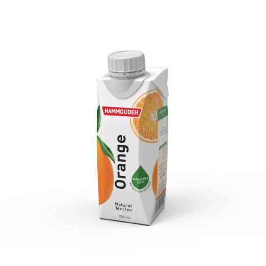 Hammoudeh Orange Nectar Juice 250ml Prisma Pack of 24 Bottles Refreshing Beverage for Everyday Enjoyment - Hammoudeh - Image 2
