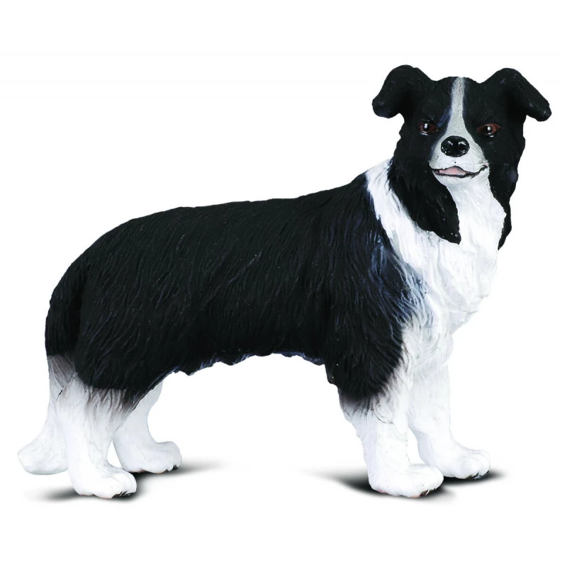 CollectA Border Collie Dog Figure Realistic Farm Animal Toy Black and White 2.8 Inch - CollectA