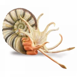 CollectA Pleuroceras Ammonite Figurine Hand Painted Prehistoric Model 11.9 cm