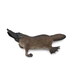 Collecta Platypus Realistic Wildlife Toy Figure, Durable PVC Construction, Educational Animal Model 9cm