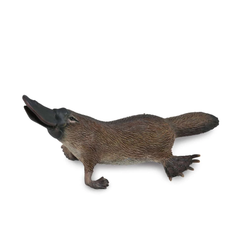 Collecta Platypus Realistic Wildlife Toy Figure, Durable PVC Construction, Educational Animal Model 9cm - CollectA