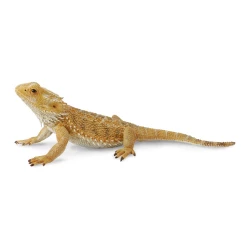 CollectA Bearded Dragon Lizard Realistic Toy Figure, Detailed Design, Educational, 6 Inch