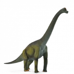 Collecta Brachiosaurus Dinosaur Figure Realistic Jurassic Model 18.5cm