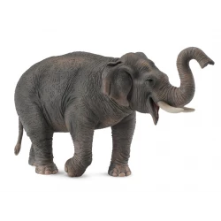 CollectA Asian Elephant Figurine Realistic Educational Toy for Kids 1:20 Scale Model 200g Detailed Replica for Collectors and Learning 15cm Tall Durable Construction