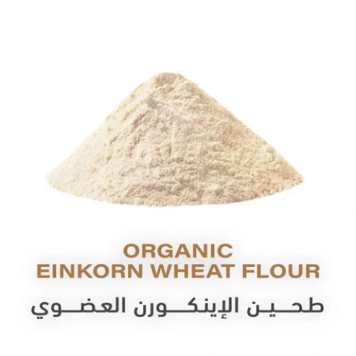 هولستك كورنر دقيق قمح إينكورن عضوي 453 جرام، غير معدل وراثيًا، غني بالبروتين، للخبز - Image 2