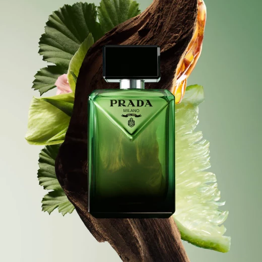طقم هدايا برادا باراديغم أو دو بارفان، عطر خشبي عنبري، 50 مل + 10 مل - Image 5