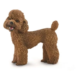 CollectA Poodle Dog Realistic Miniature Figure Toy For Kids 3+ Years Old Highly Detailed Animal Model Perfect For Play Or Display Great Gift Idea 1:12 Scale