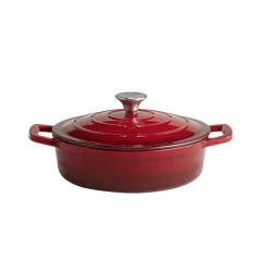 APS Cast Iron Pot 25cm Diameter 2.5 Liter Red for Kitchen Cooking