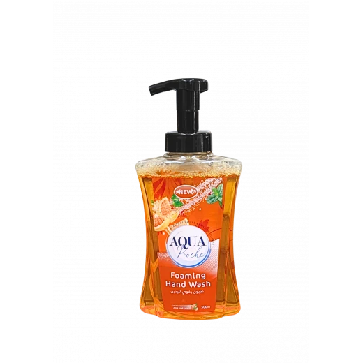 Aquarosh Grapefruit & Mint Foaming Hand Soap 500 ml – Gentle Cleansing Formula with Soft Foam, Easy Rinse, Refreshing Citrus and Mint Fragrance, Moisturizing and Suitable for Daily Use on All Skin Types, Leaving Hands Clean and Smooth Aquarosh Grapefruit & Mint Foaming Hand Soap 500 ml – Gentle Cleansing Formula with Soft Foam, Easy Rinse, Refreshing Citrus and Mint Fragrance, Moisturizing and Suitable for Daily Use on All Skin Types, Leaving Hands Clean and Smooth