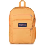 حقيبة ظهر رجالية JanSport Big Student من البوليستر 100%، مقصورتان رئيسيتان كبيرتان، جيب أمامي منظم، جيوب خارجية بسحّاب، أحزمة كتف وظهر مبطن - جان سبورت