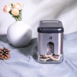 وعاء كاراجا شينكس إينوكس الزجاجي لحفظ الطعام سعة 480 مل، تصميم أنيق ومدمج مع غطاء محكم، مثالي لتنظيم المطبخ وحفظ المكونات والأطعمة اليومية - كراجا