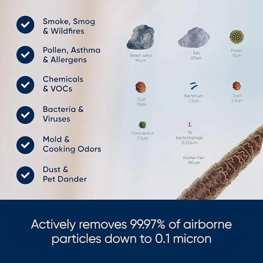 BLUEAIR Blue Pure 511 Air Purifier for Small Rooms up to 38 m², HEPASilent Technology, Quiet Air Cleaner for Dust, Smoke, Allergens & Pet Hair - Blueair - Image 3