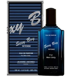 عطر جين أرثيس Sexy Boy Intense للرجال أو دو بارفان 100 مل، عطر رجالي جذاب وأنيق بتركيبة مكثفة مثالية للاستخدام اليومي والمناسبات الخاصة