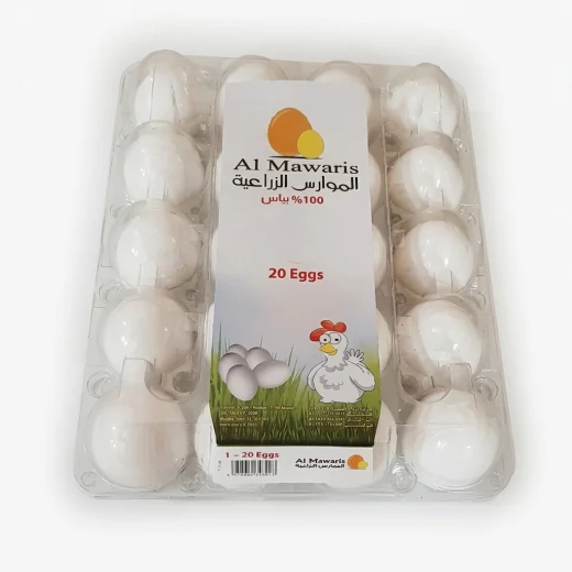 بيض الموارس حجم كبير 20حبة | بيض دجاج طازج، بيض كبير الحجم عالي الجودة، عبوة 200 بيضة للفطور والخبز والطبخ والاستخدام اليومي