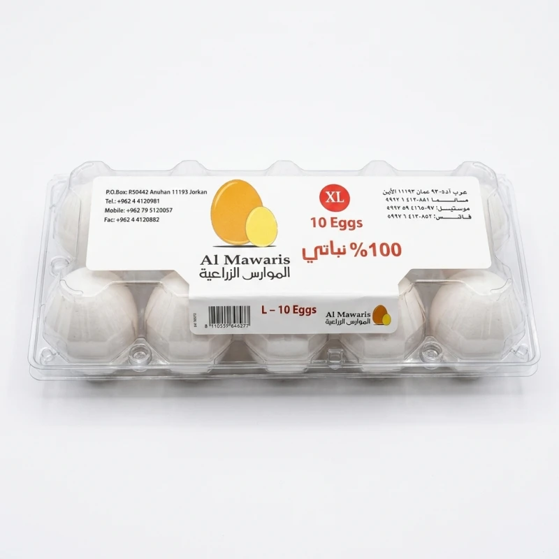 بيض الموارس الطازج حجم كبير جدًا XL، 10 حبات | بيض دجاج عالي الجودة للطبخ والخبز والفطور والاستخدام اليومي - الموارس