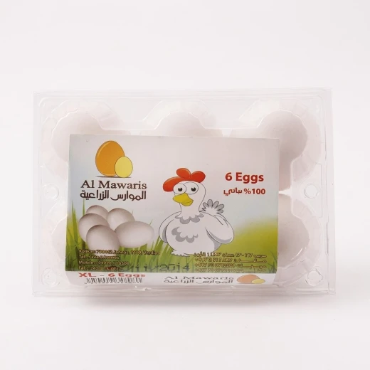 بيض الموارس الطازج حجم كبير Large، 6 حبات | بيض دجاج عالي الجودة للطبخ والخبز والفطور والاستخدام اليومي بيض الموارس الطازج حجم كبير Large، 6 حبات | بيض دجاج عالي الجودة للطبخ والخبز والفطور والاستخدام اليومي