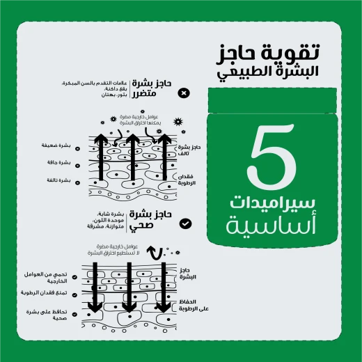 كريم الحماية للجميع – تركيبة خفيفة وخالية من العطور، يدعم حاجز البشرة بفضل السيراميدات وحمض الهيالورونيك، مناسب للبشرة الحساسة – 50 مل من بيزلين - بيزلين - Image 4
