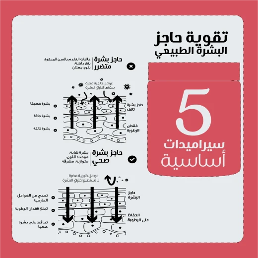 كريم أدابتوجين حاجز للبشرة 50ملم  بيزلاين - بيزلين - Image 4