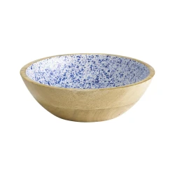 APS Mango Bowl Dia 24cm 1.1 Liter Blue