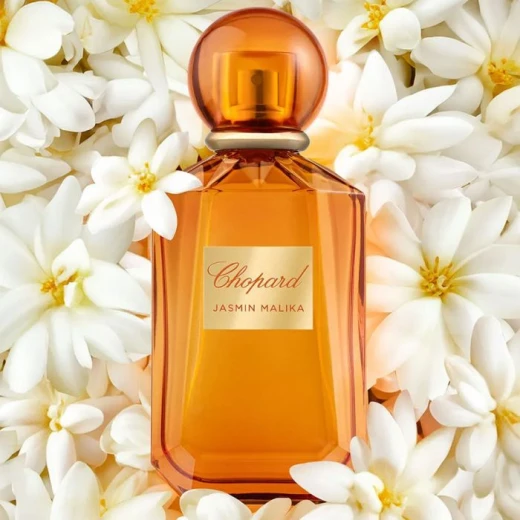 عطر شوبارد ياسمين ملكة للنساء أو دي بارفيوم 100 مل برائحة الياسمين والماندرين والأخشاب الفاخرة لإطلالة أنثوية ساحرة تدوم طويلا عطر شوبارد ياسمين ملكة للنساء أو دي بارفيوم 100 مل برائحة الياسمين والماندرين والأخشاب الفاخرة لإطلالة أنثوية ساحرة تدوم طويلا