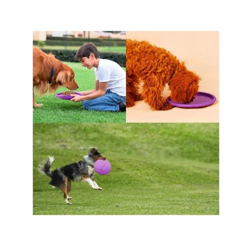 Medium Pet Bed, 50 × 63 × 18 cm, Comfortable Sleeping and Resting Space for Cats and Dogs, Practical Design for Everyday Indoor Use, Providing a Cozy Spot for Pets to Relax and Sleep - Pets - Image 6