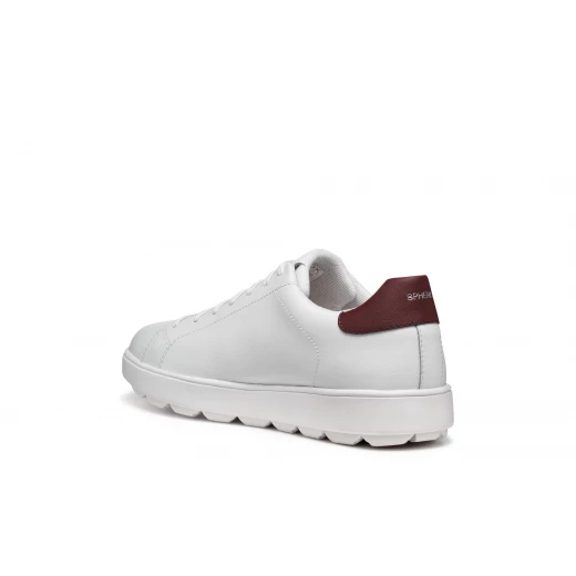 Geox Spherica ECUB-1 Men's Sneakers White 42 Featuring Breathable Coated Leather Construction Delivering Exceptional Cushioning and Comfort for Everyday Wear - Geox - Image 3