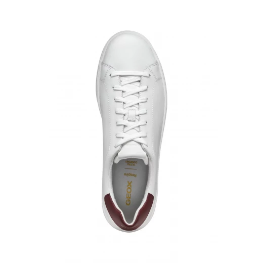 Geox Spherica ECUB-1 Men's Sneakers White 42 Featuring Breathable Coated Leather Construction Delivering Exceptional Cushioning and Comfort for Everyday Wear - Geox - Image 4