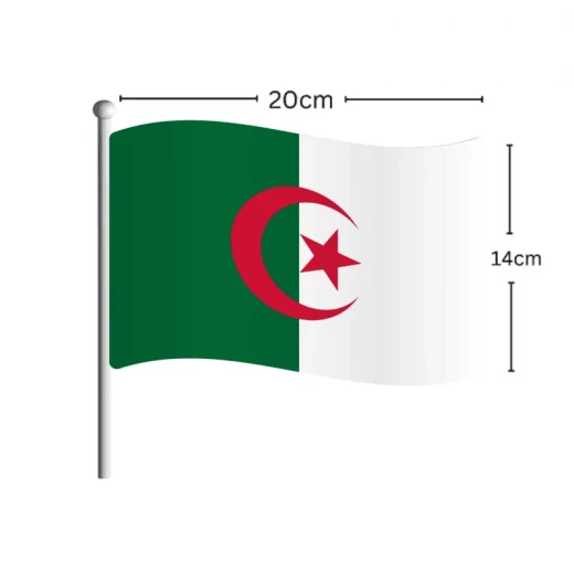 Algeria World Cup 2026 Round Fan Hat - Official Supporter Apparel for Dedicated Football Fans, Perfect for Match Days and Showing National Pride - Comfortable Unisex Fit - Image 2