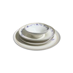 Royal Sewar Dinner Set | 24 Pieces | Royal Rose