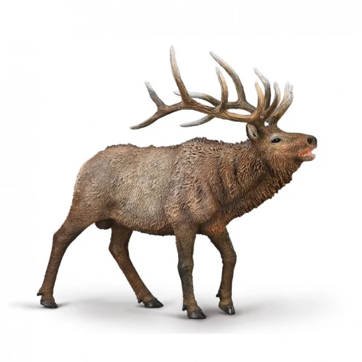 Collecta Uapiti XL Figure Realistic Hand-Painted Animal Toy for Kids Collecta Uapiti XL Figure Realistic Hand-Painted Animal Toy for Kids