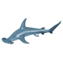 Collecta Scalloped Hammerhead Shark Realistic Marine Animal Figure for Kids