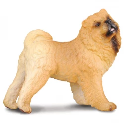 Collecta Realistic Chow Chow Dog Figure Toy Detailed Brown Model for Kids Ages 3+ Perfect for Play and Display, Measuring 7cm in Length, Durable Plastic Construction