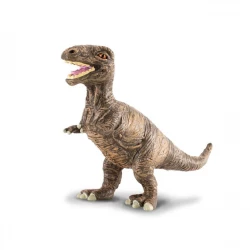 CollectA Tyrannosaurus Rex Baby Dinosaur Figure Realistic Texture 3 Years+