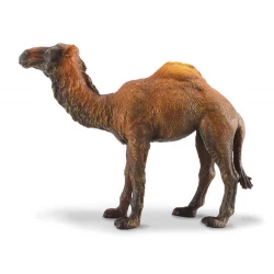 Collecta Dromedary Camel Realistic Wildlife Animal Figure 1:20 Scale Model
