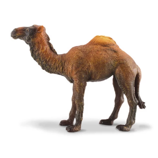 مجسم جمل ذو سنام واحد من كوليكتا، حيوان واقعي، نموذج مقياس 1:20 مجسم جمل ذو سنام واحد من كوليكتا، حيوان واقعي، نموذج مقياس 1:20