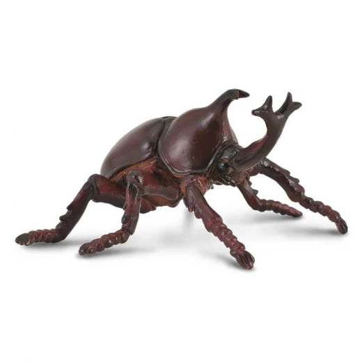 Collecta Rhinoceros Beetle Realistic Insect Figure for Kids, Ages 3+ Collecta Rhinoceros Beetle Realistic Insect Figure for Kids, Ages 3+