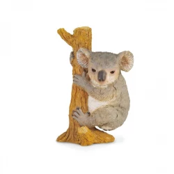 CollectA Koala Bear Climbing Realistic Toy Figure for Kids, Educational Play, 3+ Years