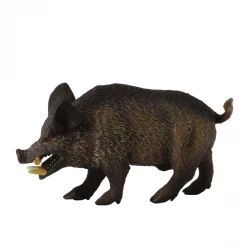 CollectA Wild Boar Figure Realistic Animal Replica for Kids and Collectors