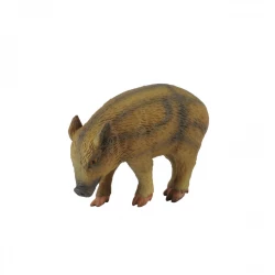 CollectA Wild Piglet Eating Figure Realistic Toy for Kids, Educational Play, 3+ Years