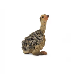 CollectA Ostrich Chick Sitting Toy Figure, Realistic Animal Model, Educational Play
